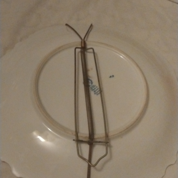 Reichenbach Porcelain Floral Cobalt Plate - Picture 5 of 6